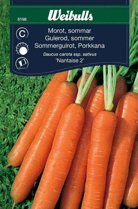 Gulrot, sommer 'Nantaise 2'